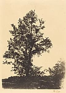The Large Tree by Wilhelm Leibl