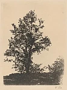 The Large Tree by Wilhelm Leibl