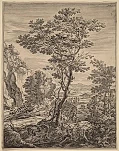 The Large Tree by Jan Both