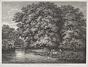 The Mill at the Great Oaks by Johann Christian Reinhart
