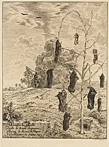 The Moles (Les Taupes) by Félix Bracquemond