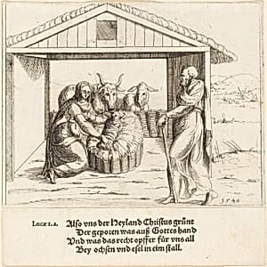 The Nativity by Augustin Hirschvogel