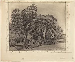 The Plantation