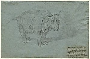 The Rhinoceros "Miss Clara" by Johann Elias Ridinger