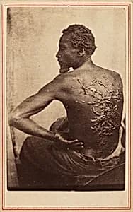 The Scourged Back by McPherson & Oliver