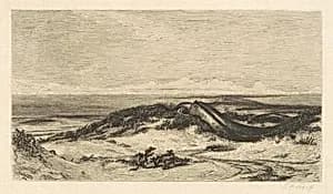 The Sea Serpent