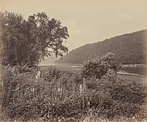 The Susquehanna At Wyalusing by William H. Rau