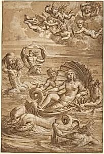 The Triumph of Galatea by Girolamo da Treviso II