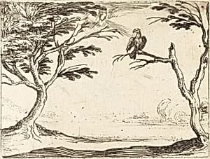 The Vulture by Jacques Callot