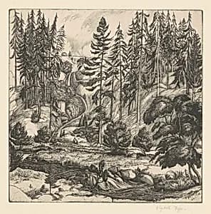 The Waterfall by Elizabeth Fyfe