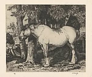 The White Horse by Charles Frederick Tunnicliffe