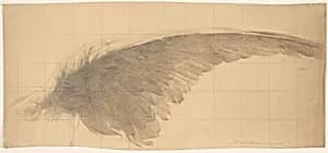 The Wing by Karel Vitezslav Masek