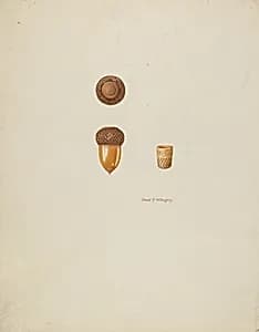 Thimble Case by David P Willoughby