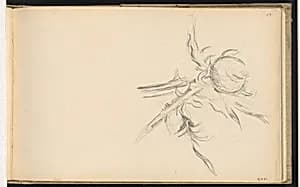 Thistle by Paul Cezanne