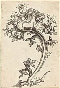 Thistle Ornament by Martin Schongauer