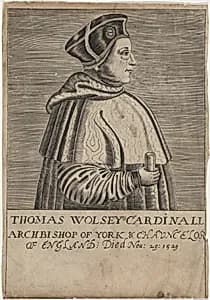Thomas Wolsey, Cardinal
