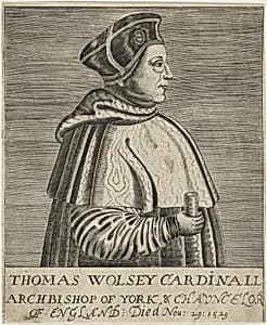 Thomas Wolsey, Cardinal