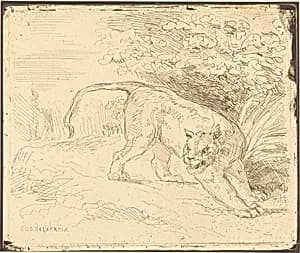 Tigre en arrêt by Eugène Delacroix