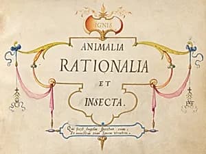Title Page by Joris Hoefnagel