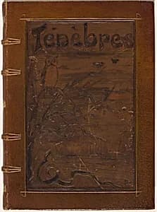 Ténèbres (Darkness) by Odilon Redon (artist), Iwan Gilkin (author)