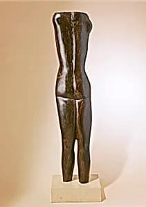 Torso