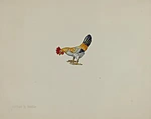 Toy Rooster by Lillian Hunter