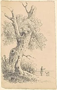 Tree Near the Shore by James Goodwyn Clonney