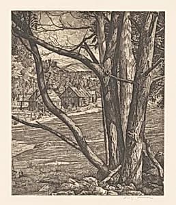 Tree Rhythm