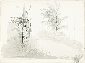 Tree Study