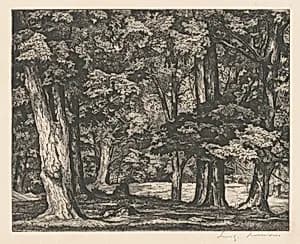 Tree Tapestry