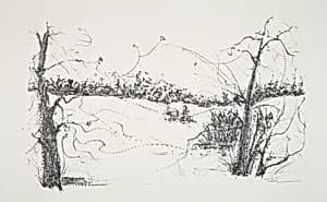 Trees and Fields