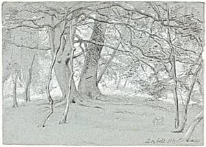Trees at Box Hill by Sir William Blake Richmond