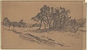 Trees in a Field by Walter Shirlaw