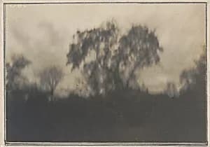 Trees