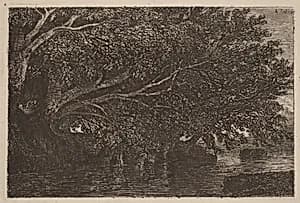 Trees Overhanging a Pond by Alexandre Calame