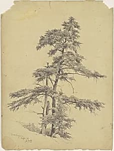 Trees, West Virginia by Andrew Fisher Bunner