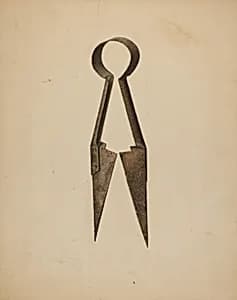 Trimming Shears