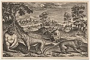 Two Apes and Two Monkeys by Adriaen Collaert