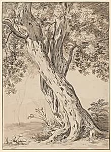 Two Intertwined Oak Trees by Johann Christian Reinhart