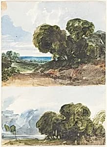 Two Sketches of Trees by Attributed to James Bulwer
