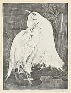 Two White Egrets