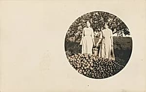 Untitled (Bountiful harvest) by American 20th Century