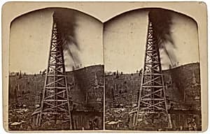Untitled by American 19th Century