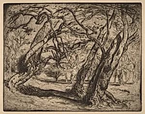 Untitled (Wooded Landscape) by Samuel Colman
