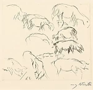 Verschiedene Tierstudien (Animal Studies) by Lovis Corinth