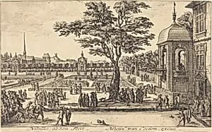 View of a Garden