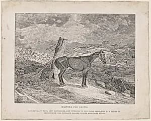 Waiting for Death by Thomas Bewick