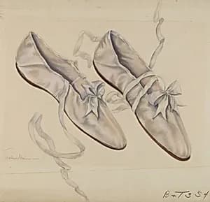 Walking Slippers