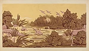 Wall Paper by Charlotte Angus