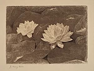 Waterlilies by John Henry Hill